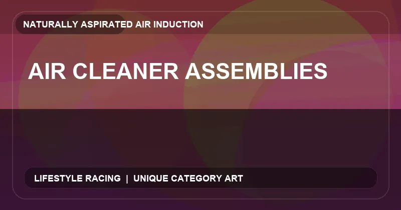 Air Cleaner Assemblies